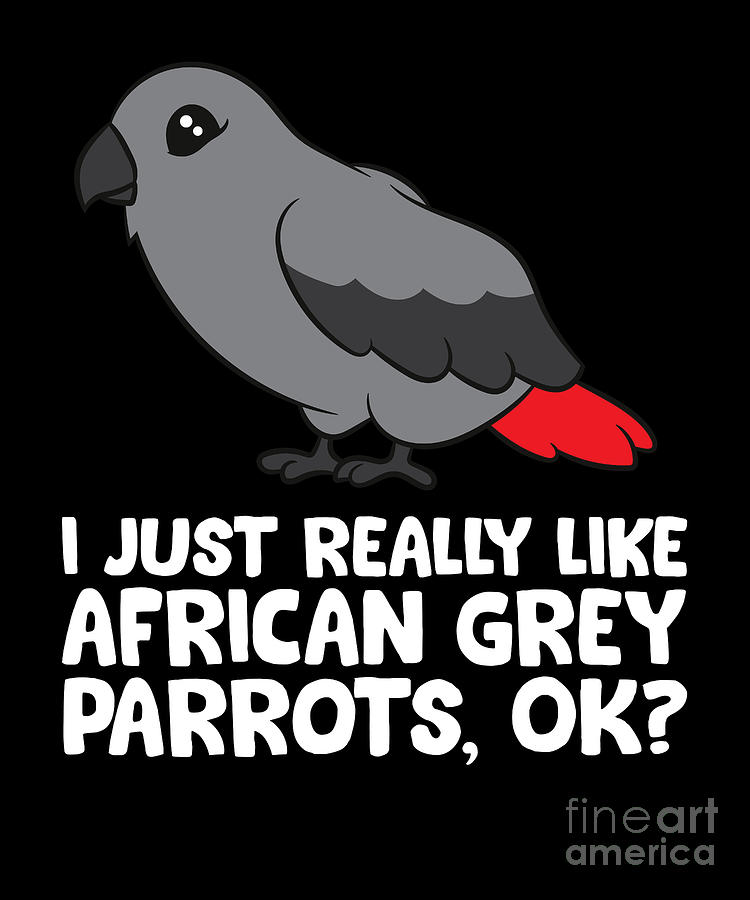 Parrot Digital Art - African Grey I Just Really Like African Grey Parrots Ok by EQ Designs