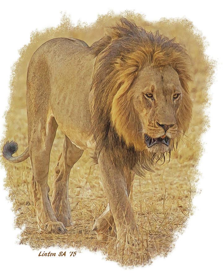 AFRICAN LION 5 cps Digital Art by Larry Linton