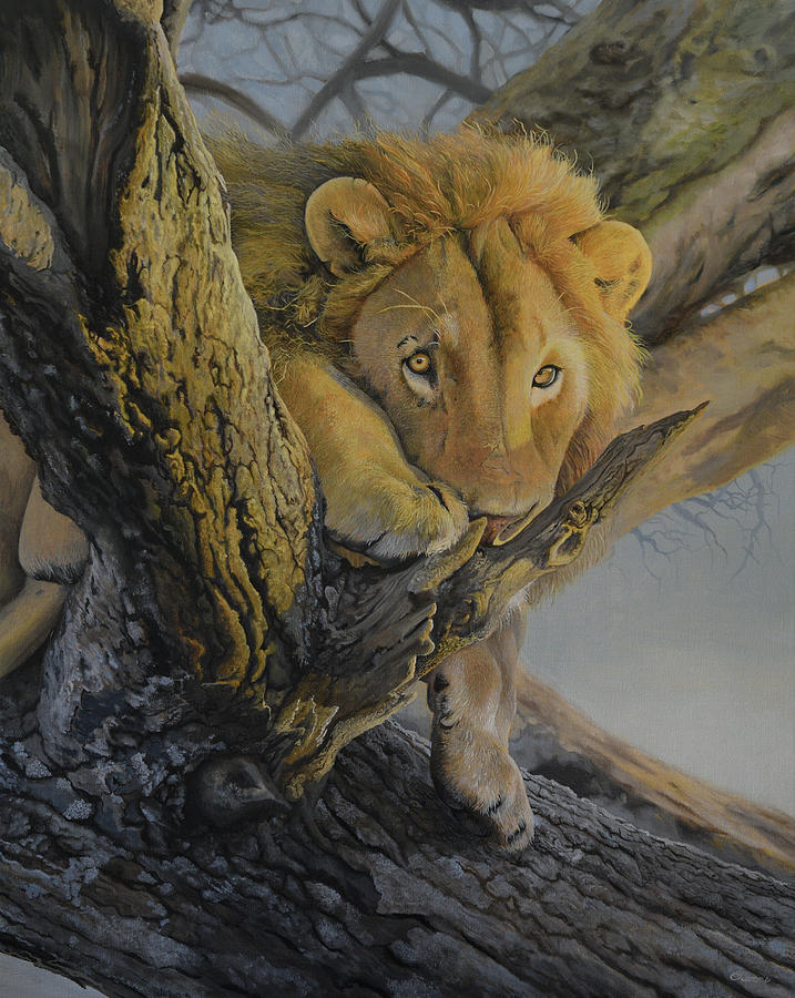 African Lion Painting by Charles Owens
