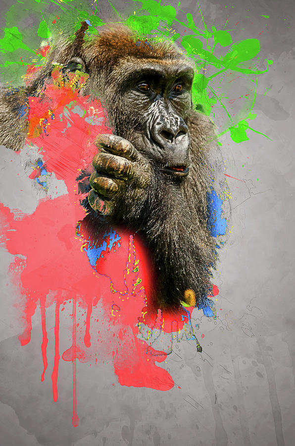 African Lowland Gorilla Digital Art Digital Art