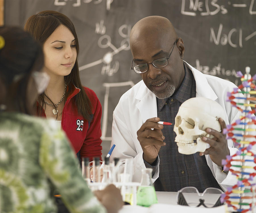 African male science teacher showing students a human skull, Toronto, Canada Photograph by LWA/Dann Tardif