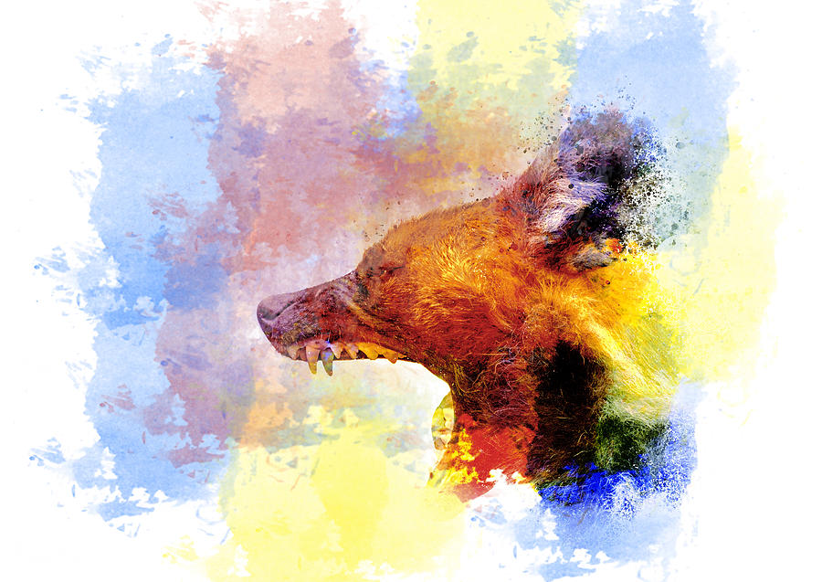 African Painted Dog  Digital Art by Darren Wilkes