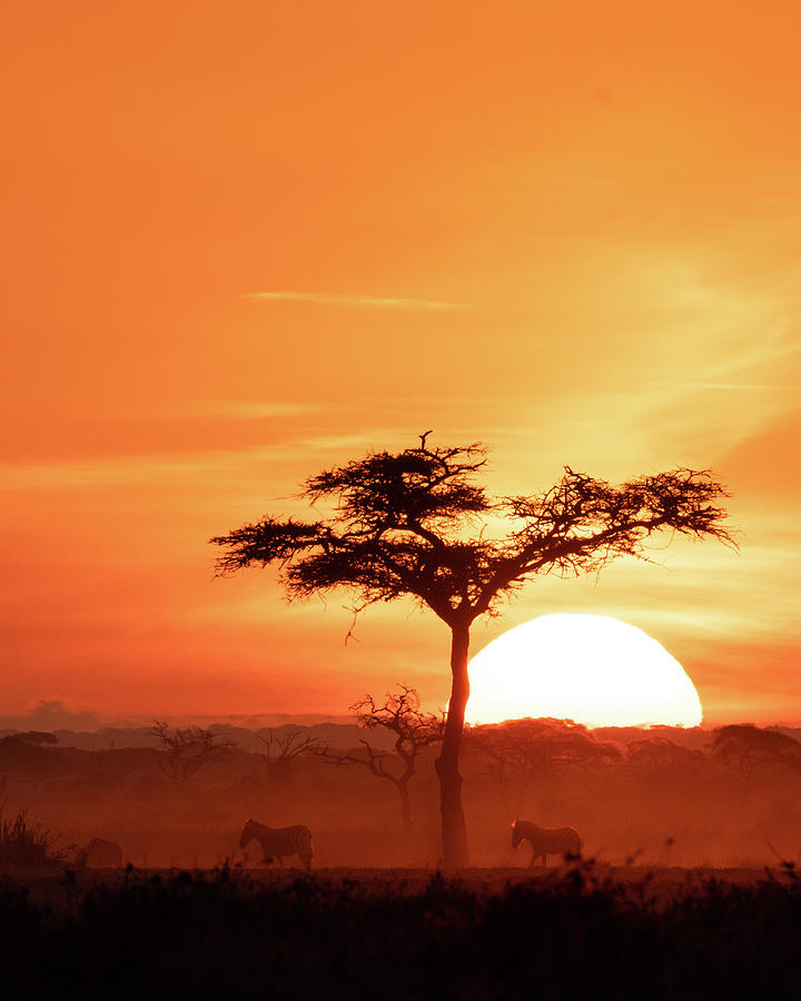 African Sunrise #1 Photograph by Ewa Jermakowicz