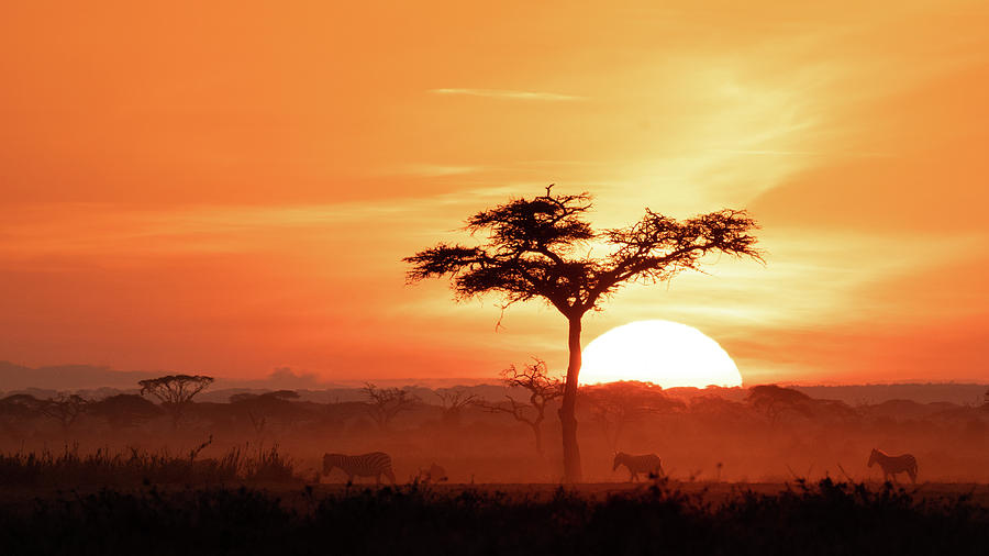 African Sunrise #4 Photograph by Ewa Jermakowicz