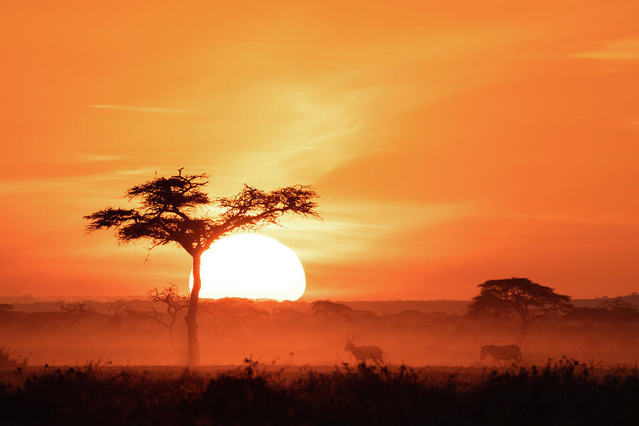 African Sunrise #6 Photograph by Ewa Jermakowicz