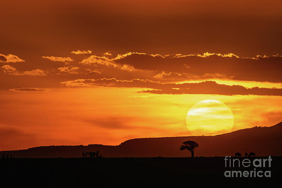 African sunset  Photograph by Jane Rix
