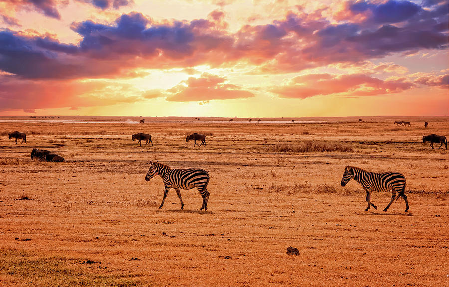 African sunset Photograph by Mitchell R Grosky