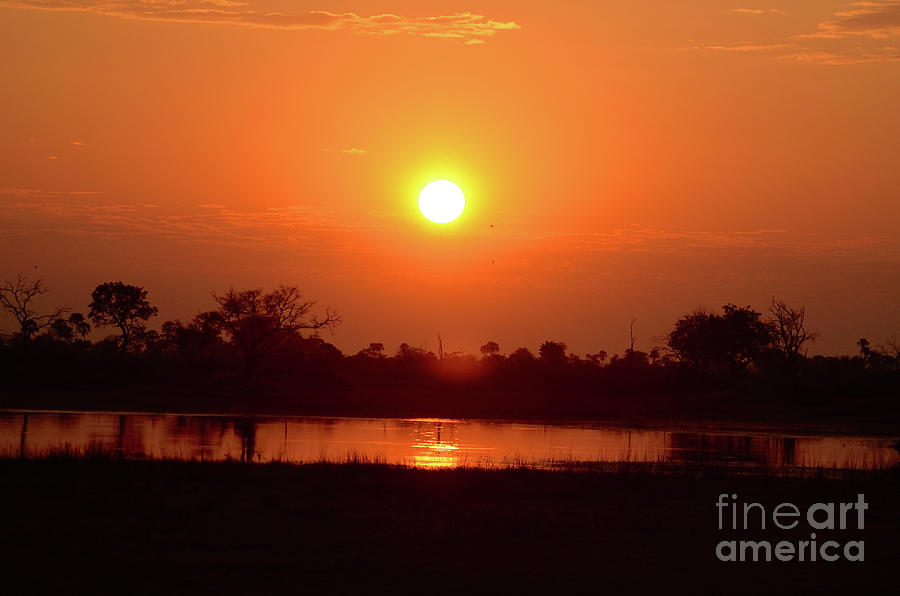 African Sunset, Near Chobe, Botswana, Africa Photograph by Tom Wurl