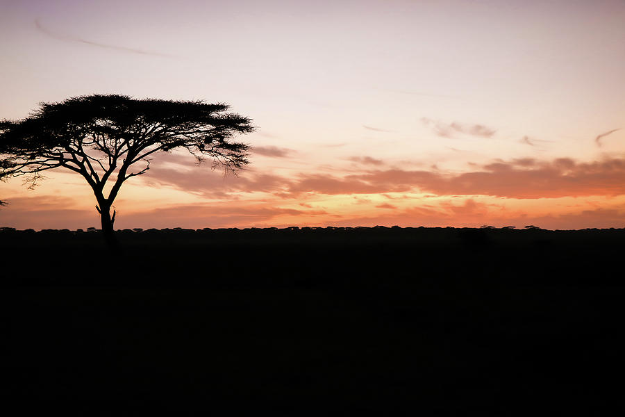 Sunset Photograph - African Sunset by Shelly John