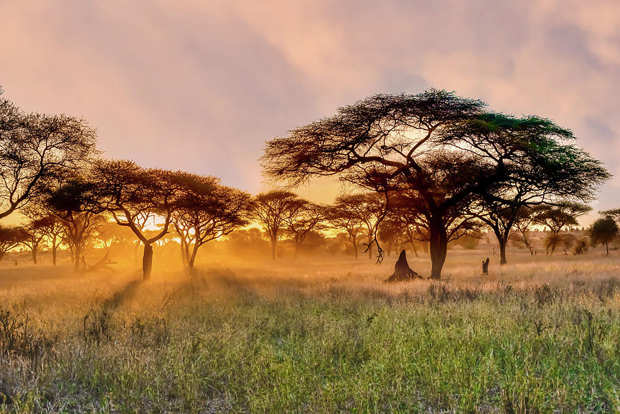 African Sunset Photograph by Six Directions Photography - Fine Art America