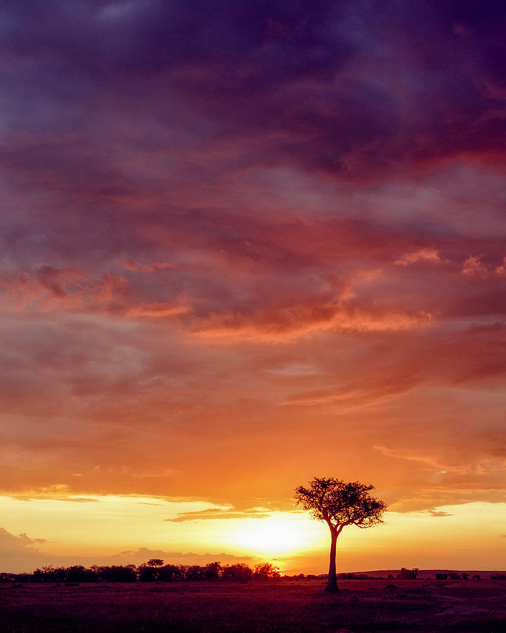 African sunset skies vertical Photograph by Murray Rudd