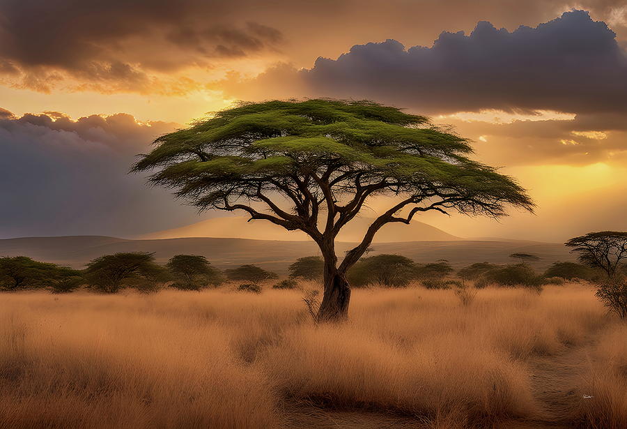 African Sunset Sky Over a Lone Acacia Tree Digital Art by Russ Harris