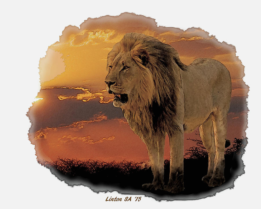 AFRICAN SUNSETcps Digital Art by Larry Linton