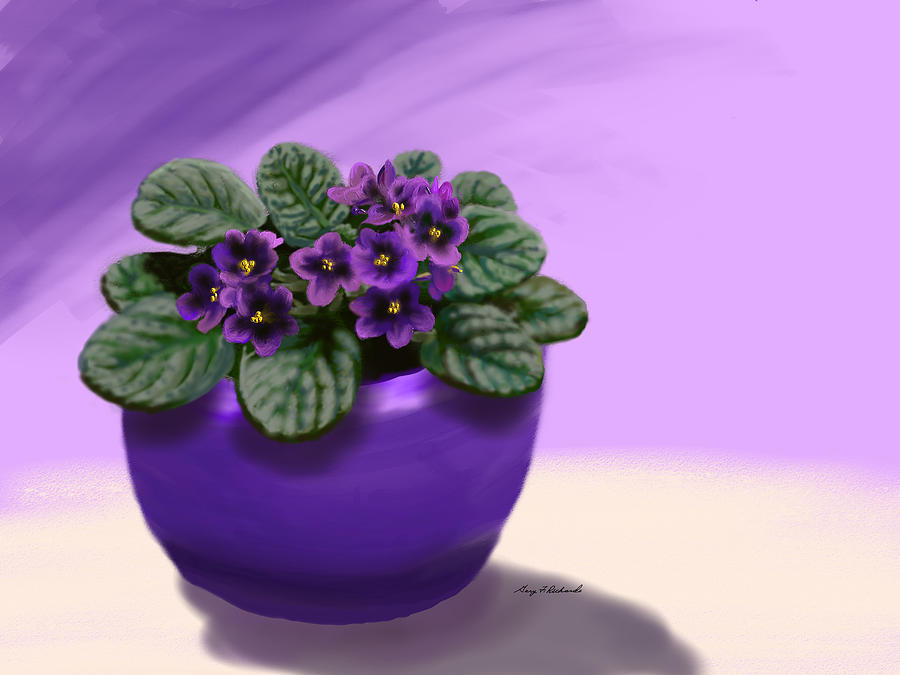 African Violet Beauty Digital Art by Gary F Richards