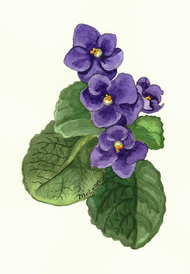 Flowers Still Life Painting - African Violets by Brad McLean