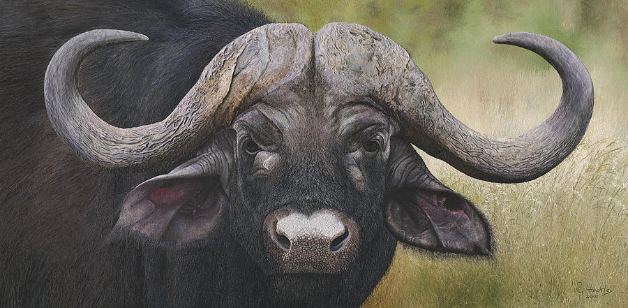 Cape buffalo Painting by Russell Hinckley