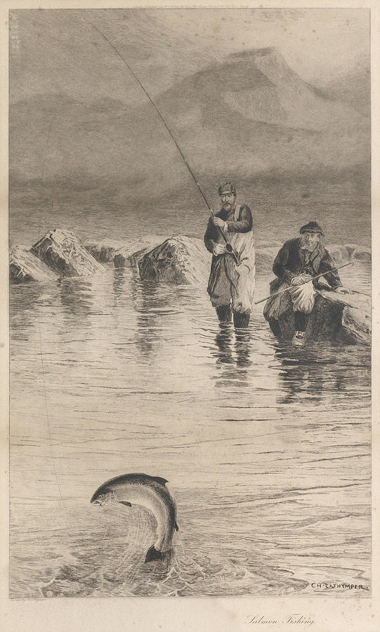 AFTER CHARLES WHYMPER Salmon Fishing a 19th century etching by H R Robertson Painting by Artistic Rifki