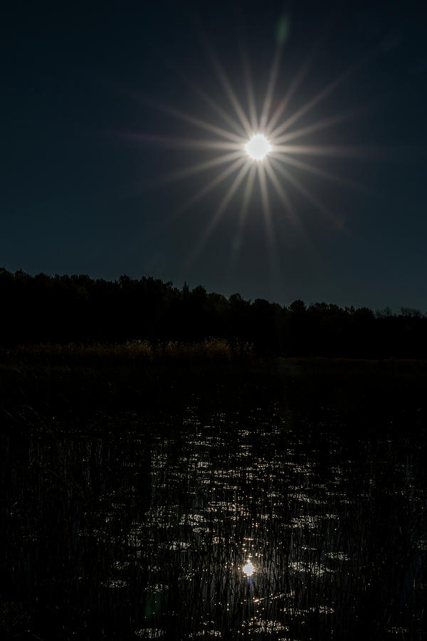 After Dark - Moonlight Starburst Photograph by Patti Deters