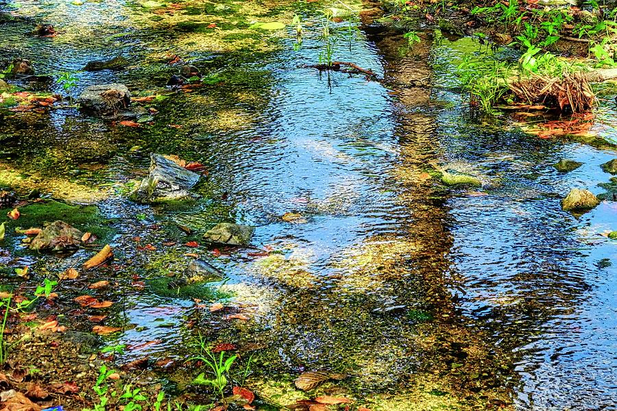 After Monet or Reflections in the Stream Photograph by Kirsten Giving