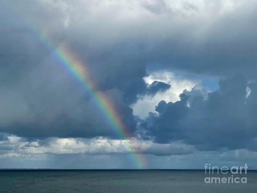 After Rain Photograph by Ann Yih Johnson - Fine Art America