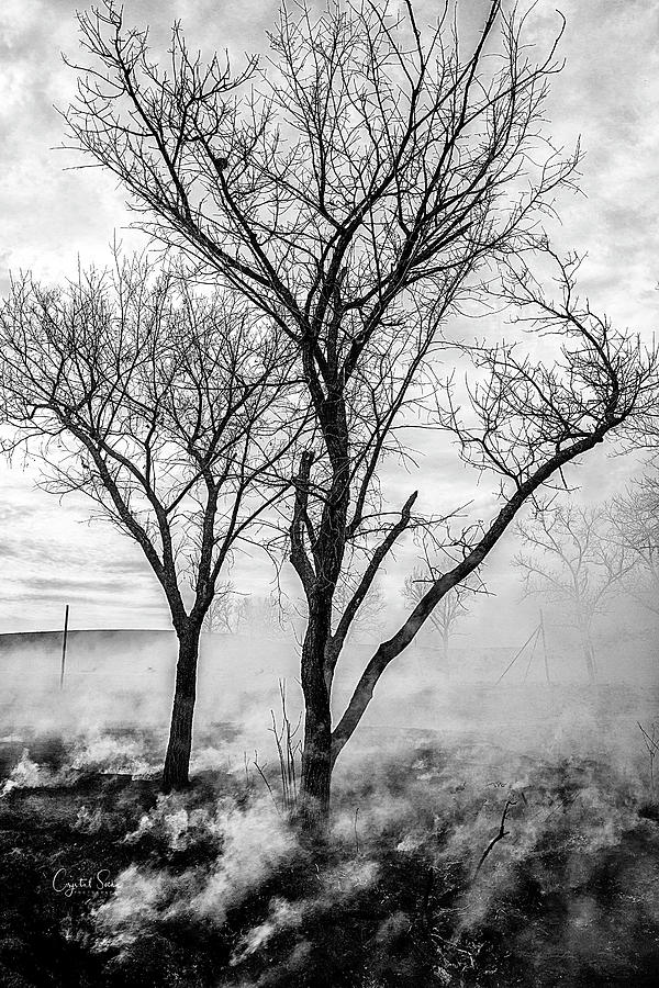 After Smoke Photograph by Crystal Socha