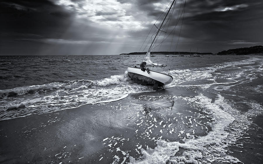 After Photograph - After Storm - Black and White Photography Print by Darius Aniunas