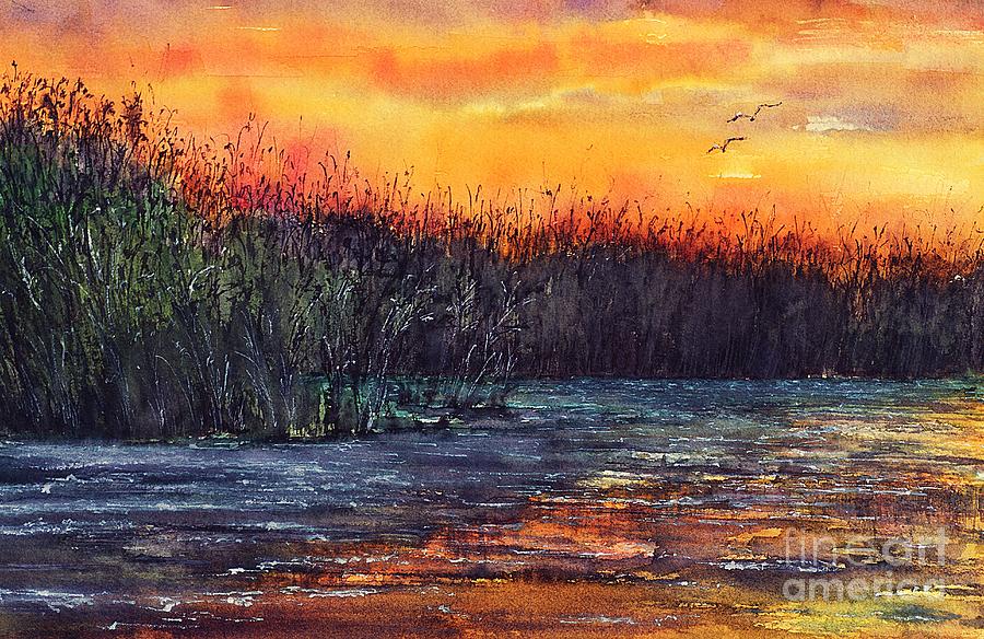 After Sunset in Danube Delta Painting by Amalia Suruceanu