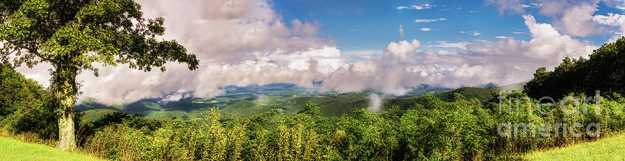 After the Blue Ridge Rain panorama 1021 Photograph by Dan Carmichael