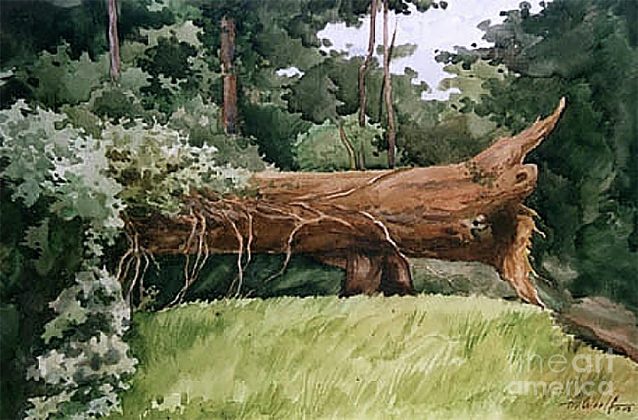 Tree Painting - After the Hurricane by Anatol Woolf Tree Painting - After the Hurricane by Anatol Woolf