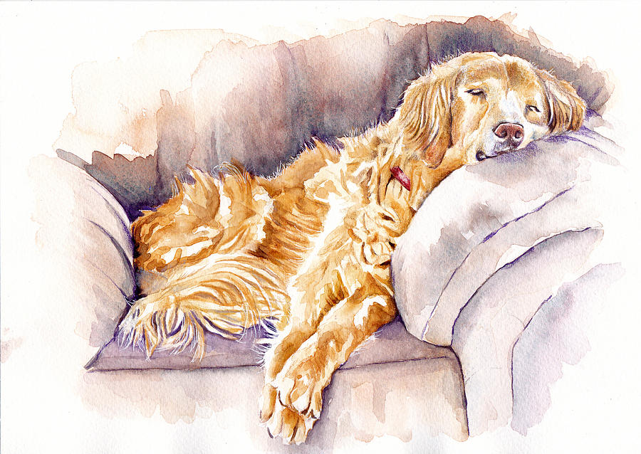 After the Lunch - Golden Retriever Painting by Debra Hall