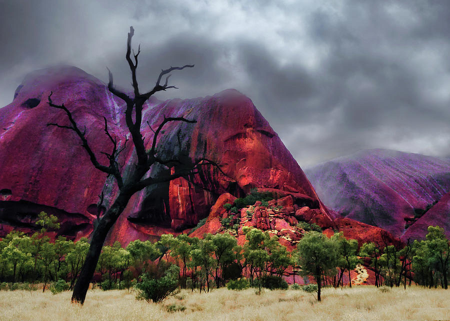 After the Rain - Uluru, Central Australia Photograph by Lexa Harpell