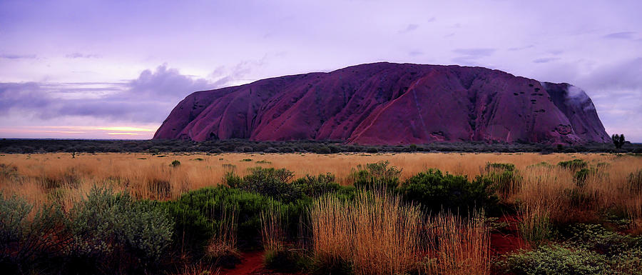 After the Rain - Uluru Photograph by Lexa Harpell