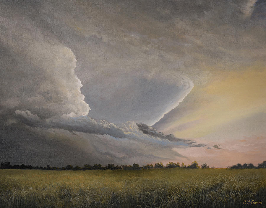After the Storm Painting by Charles Owens