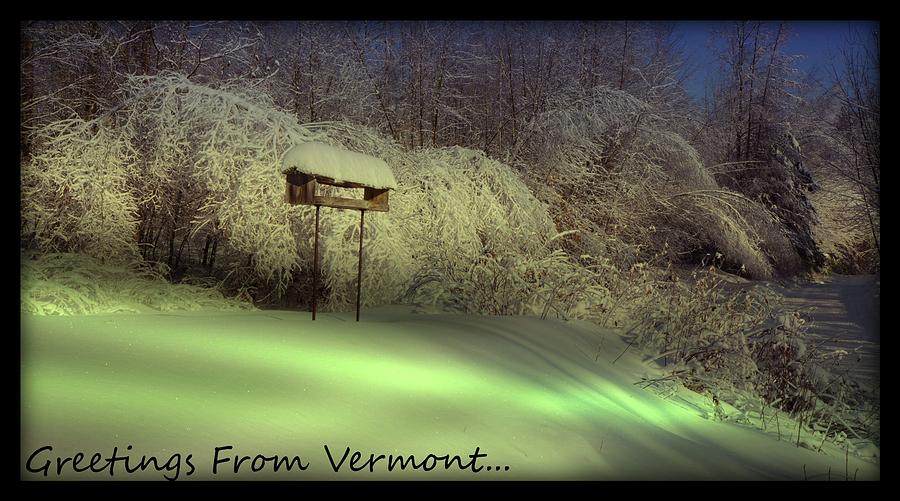 After The Storm In Vermont Photograph