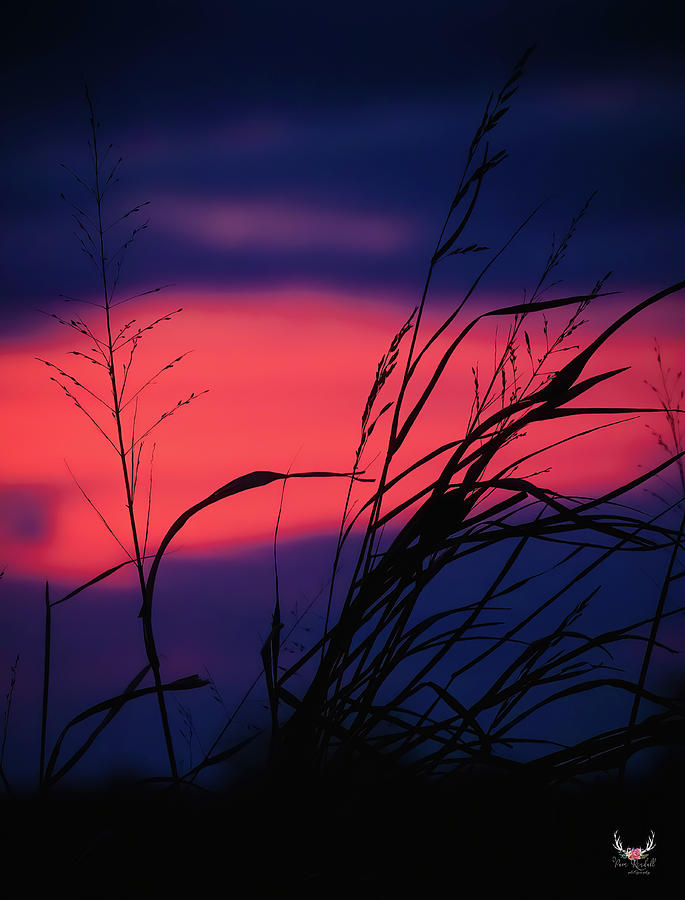 Afterglow Silhouette  Photograph by Pam Rendall
