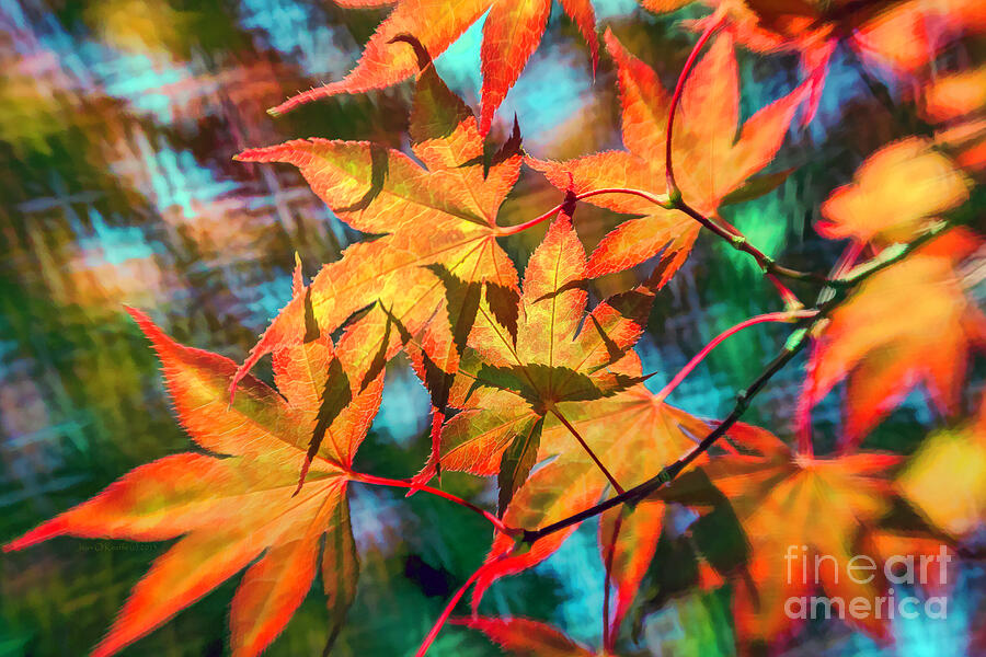 Afternoon Affair Digital Art by Macro Abundance Art