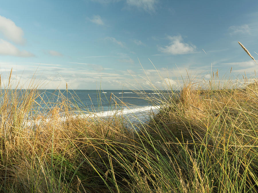 Afternoon at the beach Photograph by James Dewar - Fine Art America