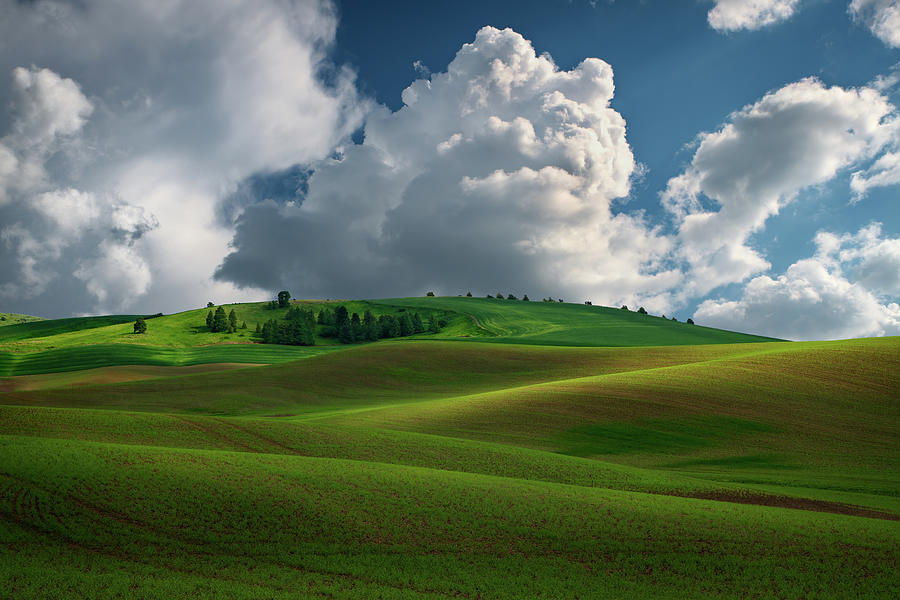 Farm Photograph - Afternoon Bliss in the Palouse by Rick Berk