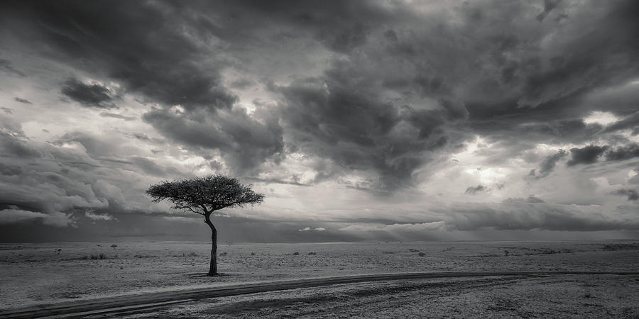 Afternoon cloud drama - infrared Photograph by Murray Rudd