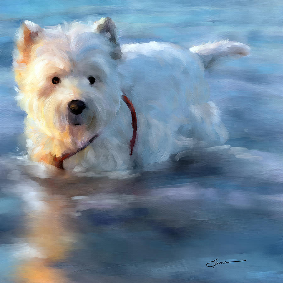 Afternoon Dip Painting by Mary Sparrow