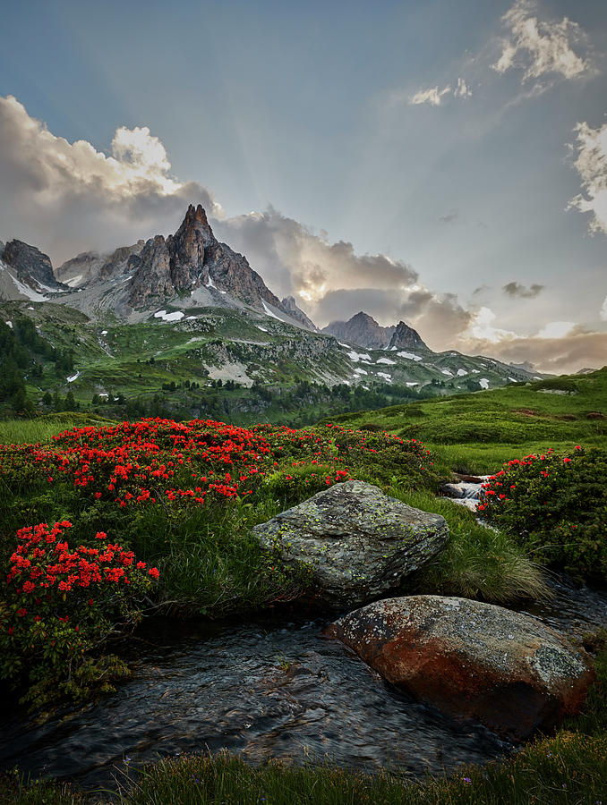 Afternoon Light in the Alps Photograph by Jon Glaser
