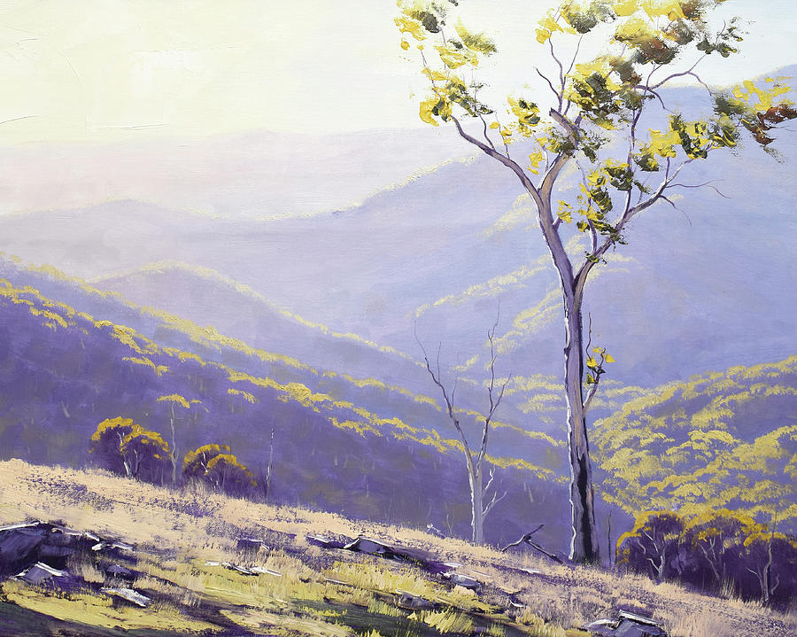 Afternoon Light Landscape Australia Painting