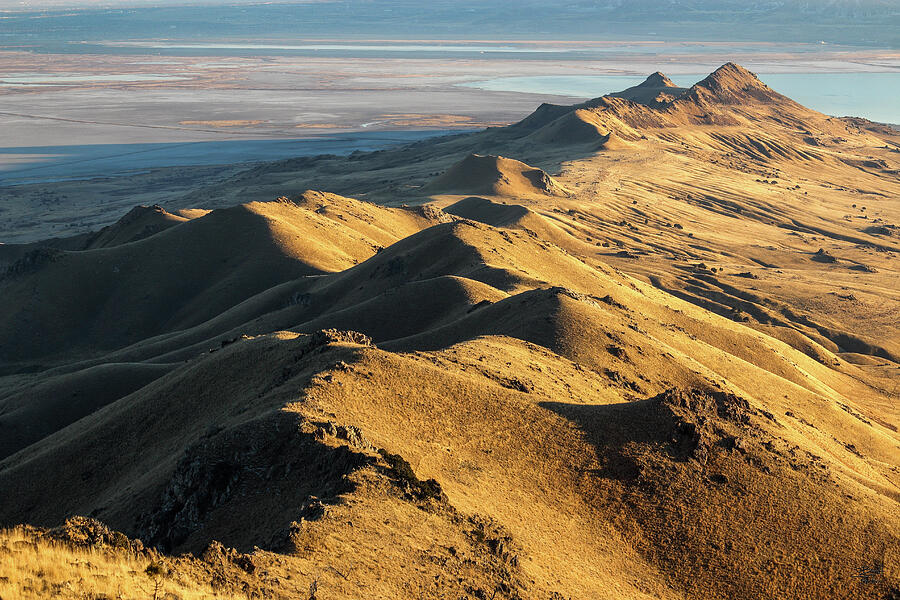 Afternoon light on top of Antelope Island South View - Great Salt Lake Photograph by Brett Pelletier