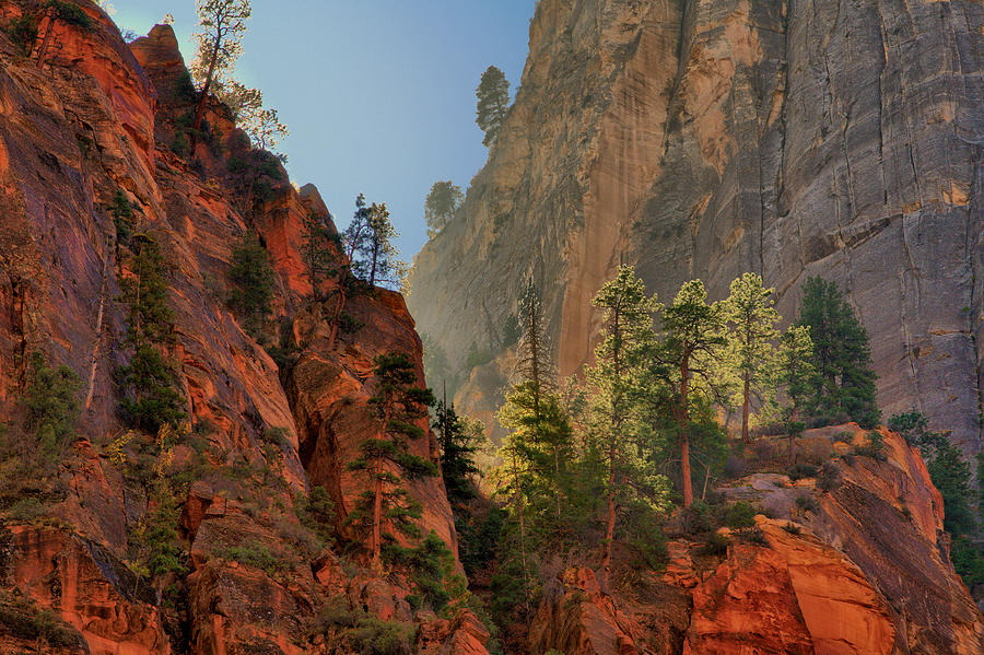 Afternoon Light - Zion Canyon Photograph by Stephen Vecchiotti