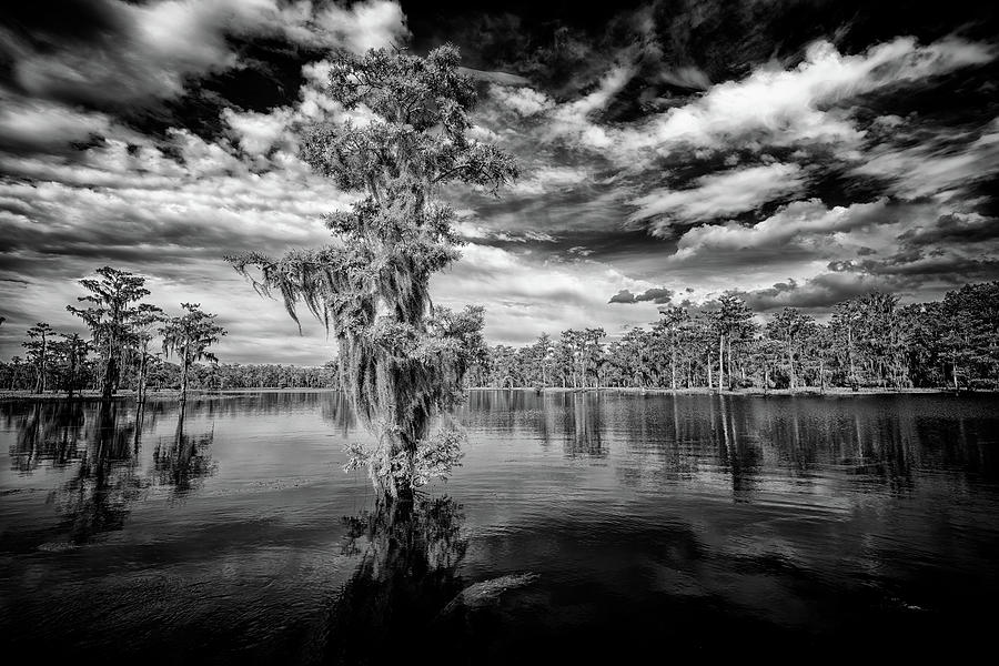 Black And White Photograph - Afternoon on the Bayou Black and White by Rick Berk