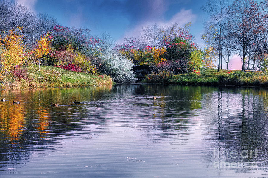 Afternoon On The Pond Photograph By Elaine Manley Fine Art America