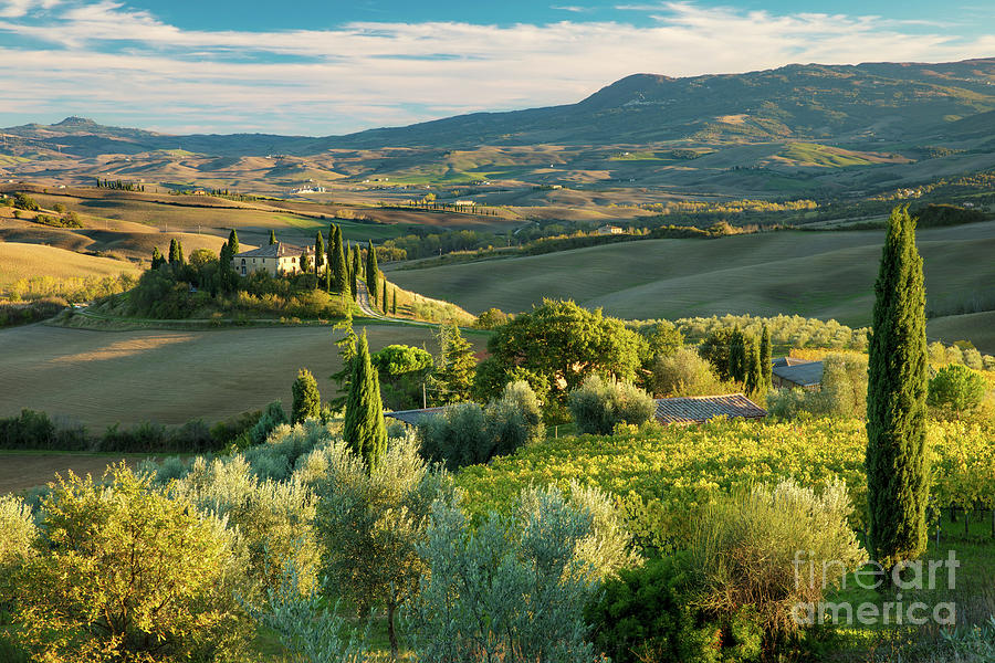 Afternoon over Tuscany Photograph by Brian Jannsen