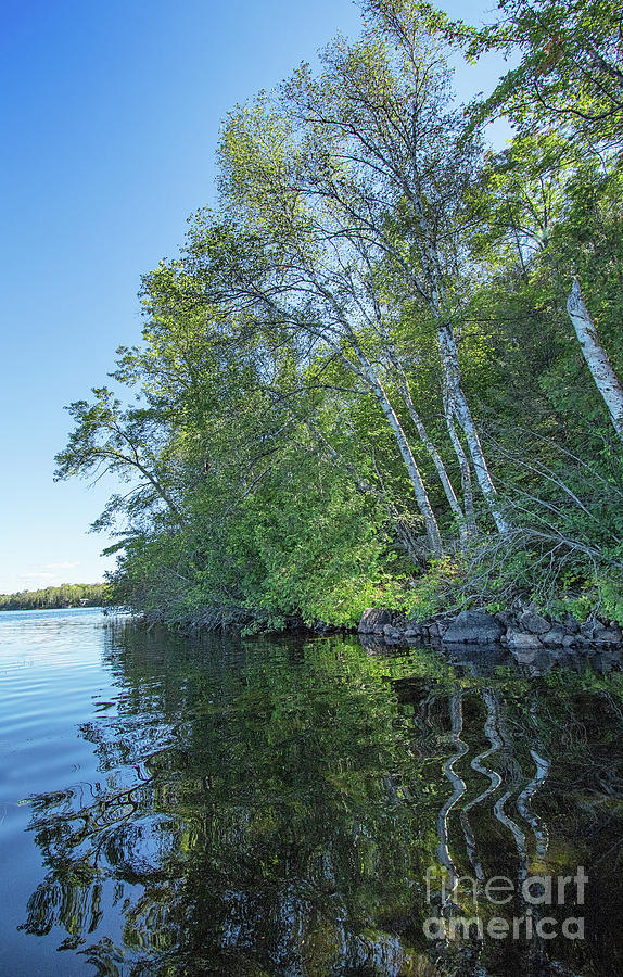 Afternoon Reflection - Wollaston Lake - Northern Ontario Photograph by ...