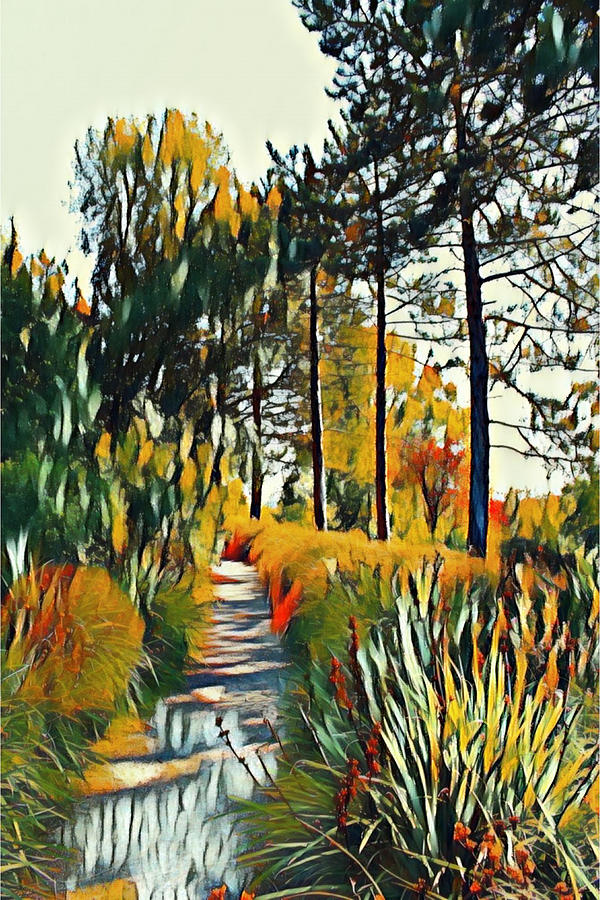 Afternoon Walk In Rhs Garden Abstract Art Mixed Media