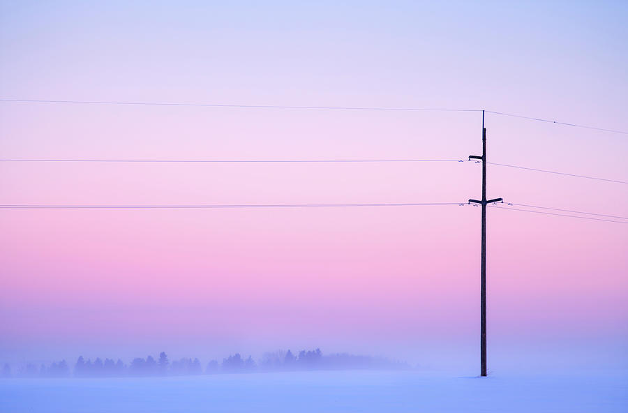 Against a Winter Sky Photograph by Dan Jurak